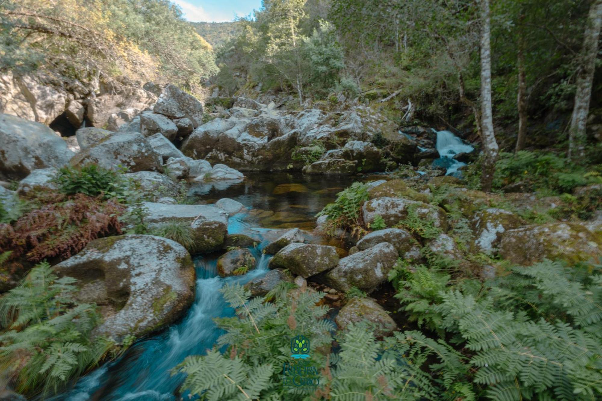 Гостевой дом Casa Da Ribeira Do Cirio Сейя Экстерьер фото