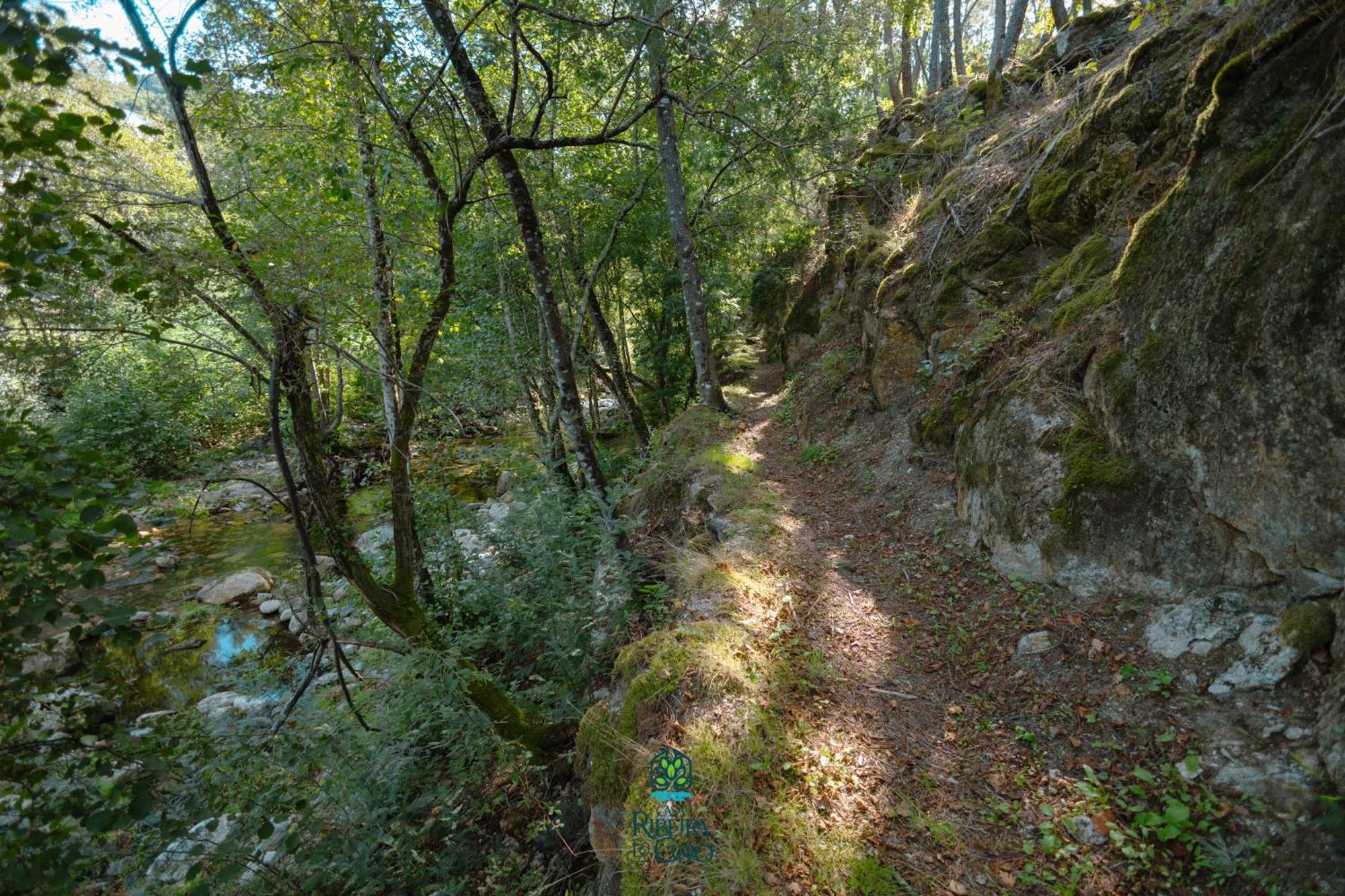 Гостевой дом Casa Da Ribeira Do Cirio Сейя Экстерьер фото