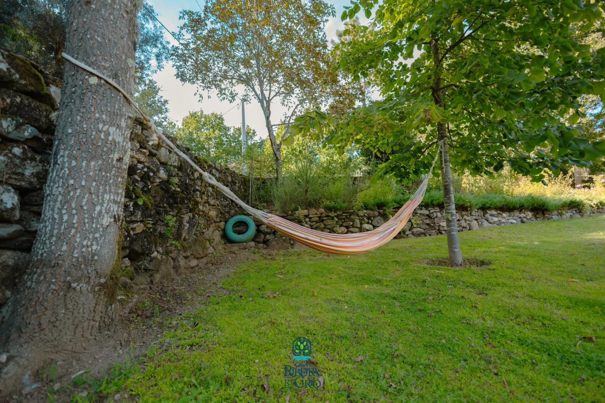 Гостевой дом Casa Da Ribeira Do Cirio Сейя Экстерьер фото
