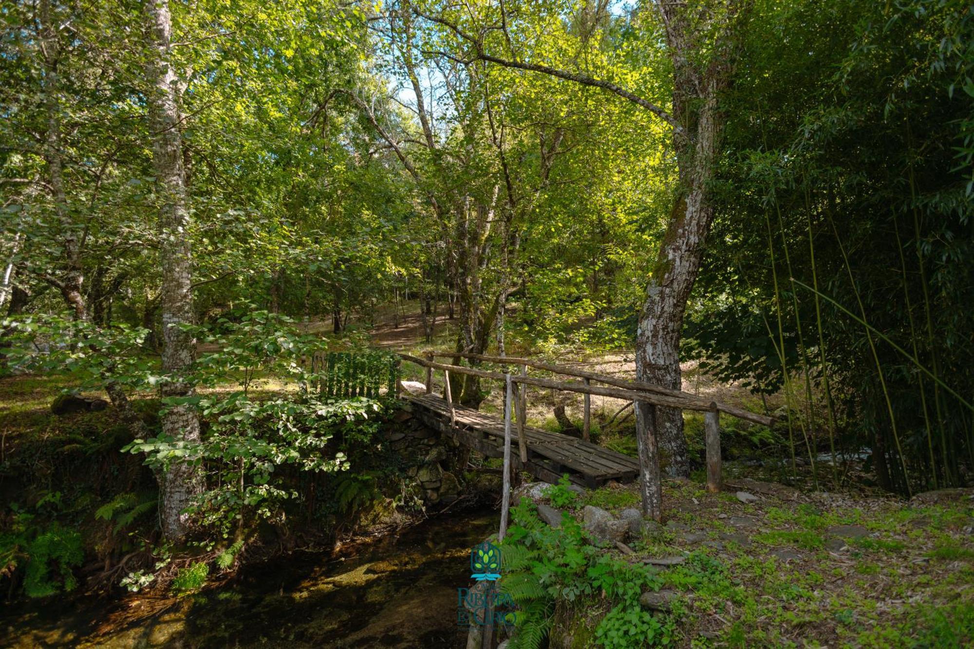 Гостевой дом Casa Da Ribeira Do Cirio Сейя Экстерьер фото