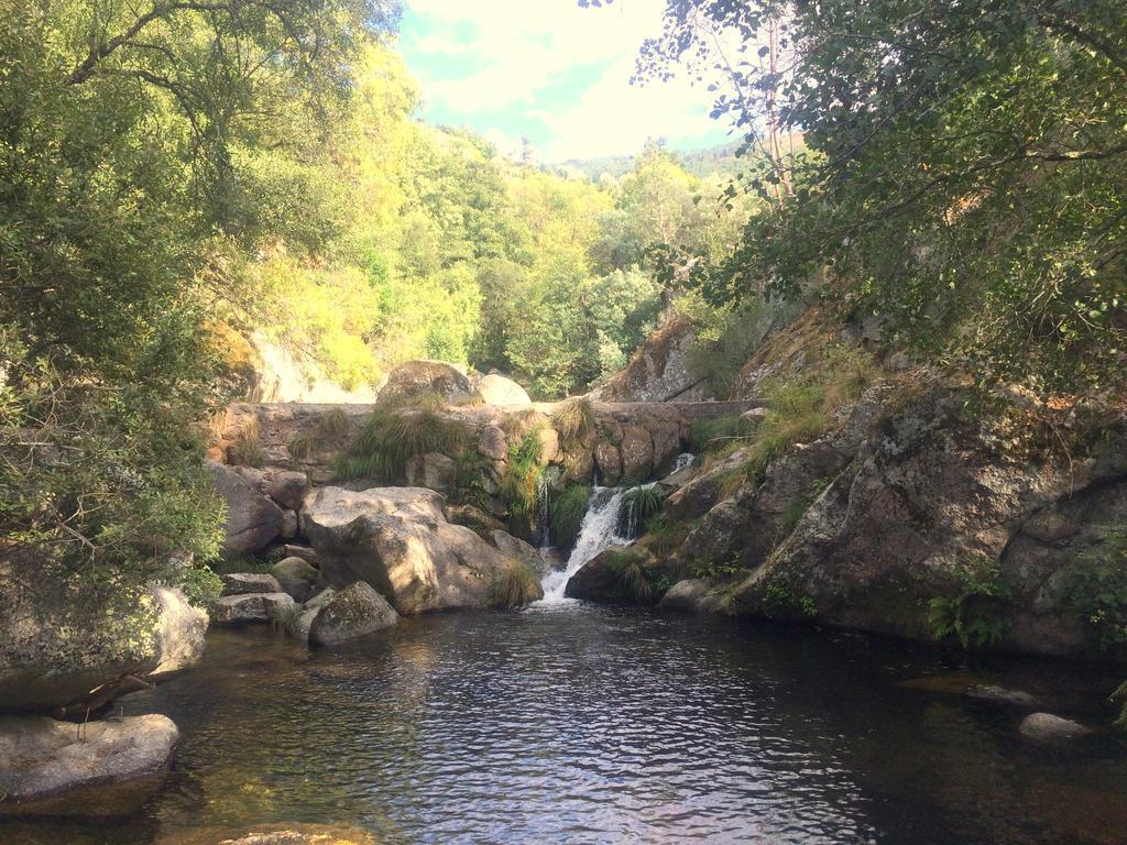 Гостевой дом Casa Da Ribeira Do Cirio Сейя Экстерьер фото