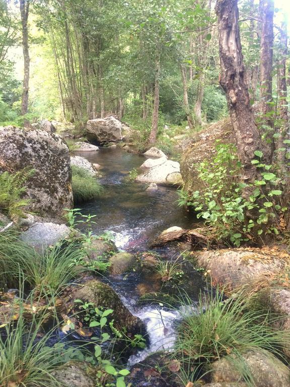 Гостевой дом Casa Da Ribeira Do Cirio Сейя Экстерьер фото